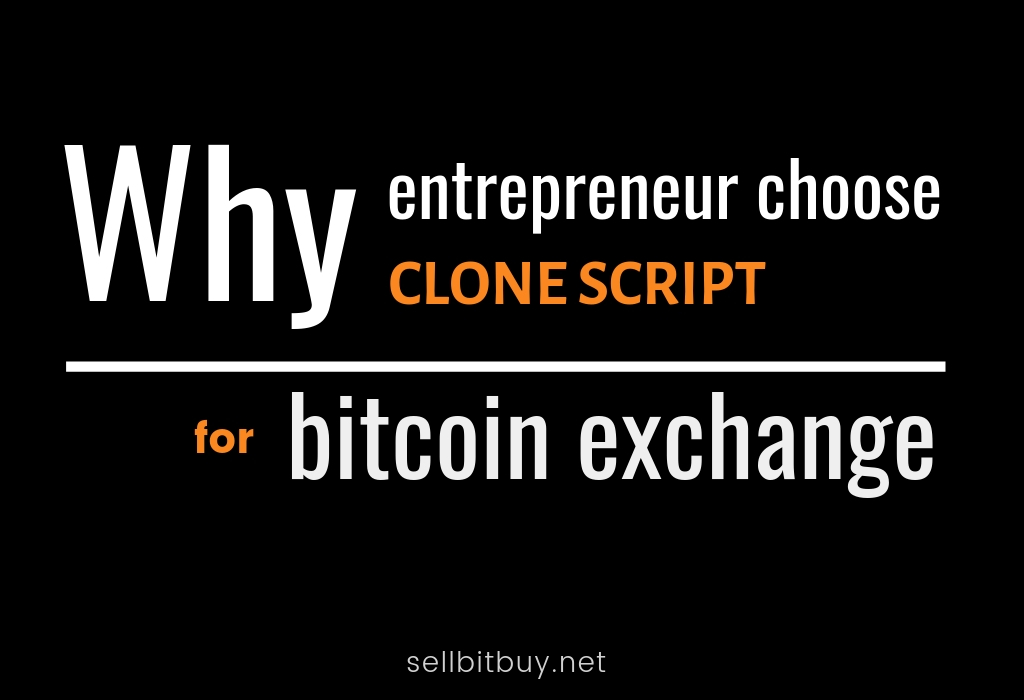 Why enterperneur choose clone script_